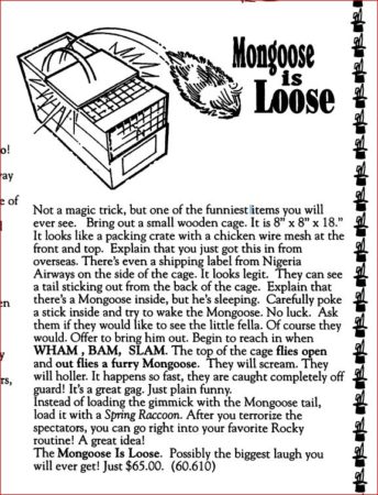 tannens-the-mongoose-is-loose-ad-2002