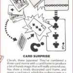 tricks-co-card-surprise-ad-1977