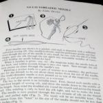 Magic Circle Magic by Will Dexter