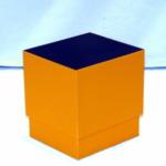 Gozinta Boxes by Jay Leslie