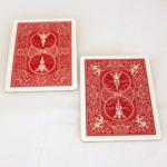 Mandolin Back Card Set by USPC