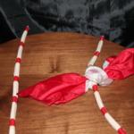 Short Long Rope by Magic Hands