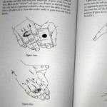 Magic Menu, The: Vols: 61-64 by Jim Sisti, Andrew J. Pinard