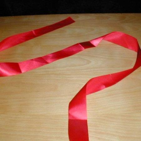 Visible Ribbon Fusion by Petrick & Mia