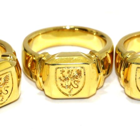 Review by Andy Martin for 18k Gold Plated Linking Finger Rings by David Regal