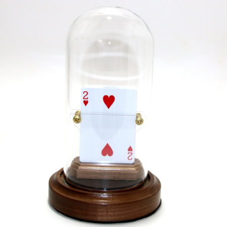 Review by Andy Martin for Horizontal Card Rise Deluxe (Remote) by Collectors' Workshop