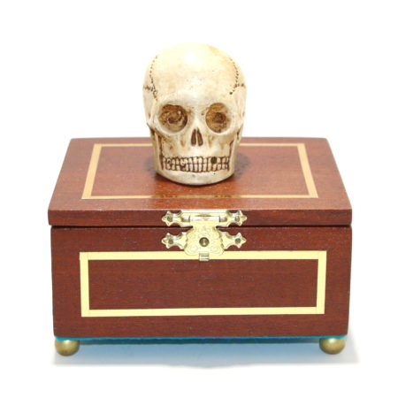 Review by Andy Martin for Talking Skull by Vienna Magic