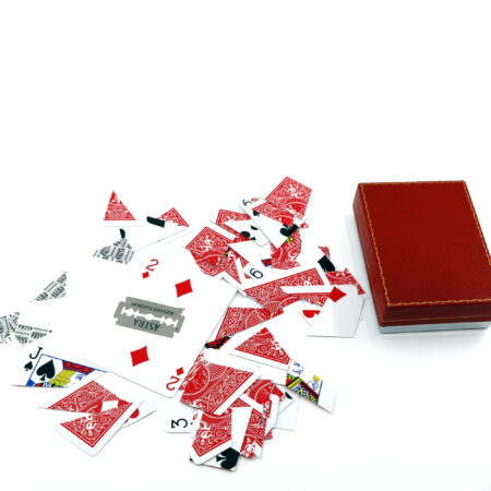 The Big Trick by Richard Himber