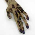 The Hand by Mick Hanzlik