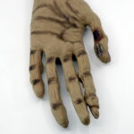 The Hand by Mick Hanzlik