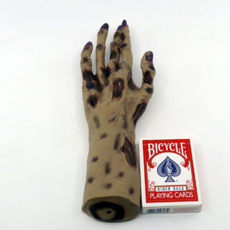 The Hand by Mick Hanzlik