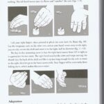 Scripting Magic - Vol. 1 by Pete McCabe