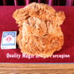 Appearing Teddy Bear (Small) by N2G Magic