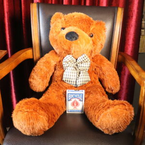 Appearing Teddy Bear by N2G Magic