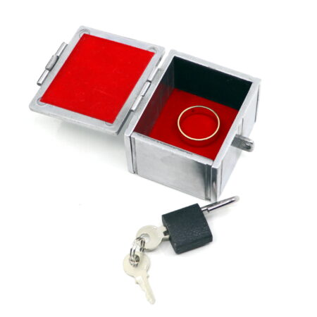 RSVP Box Hero - Silver Samuri (Lippincott Box) by Matthew Wright